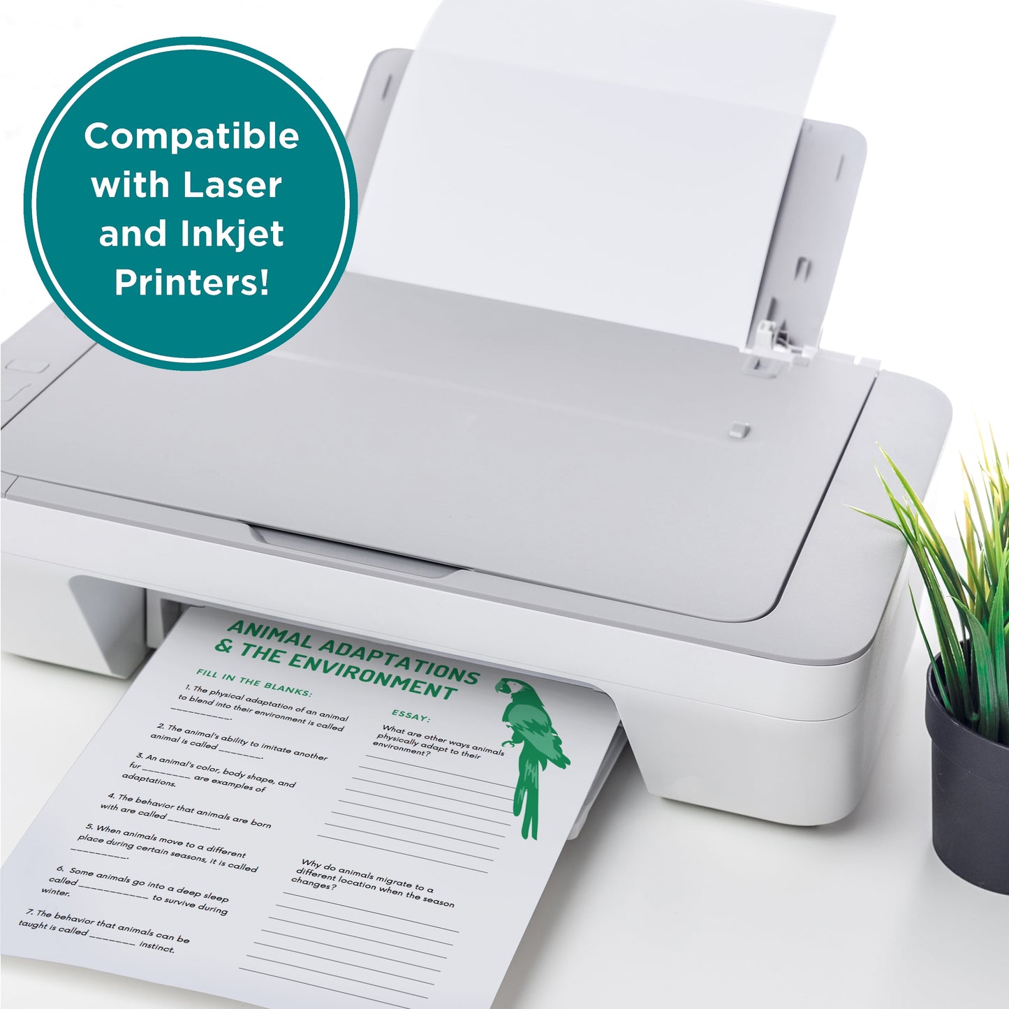 Sustainable Multipurpose Paper, 20 Lb., 8.5" X 11", White, 1500 Sheets
