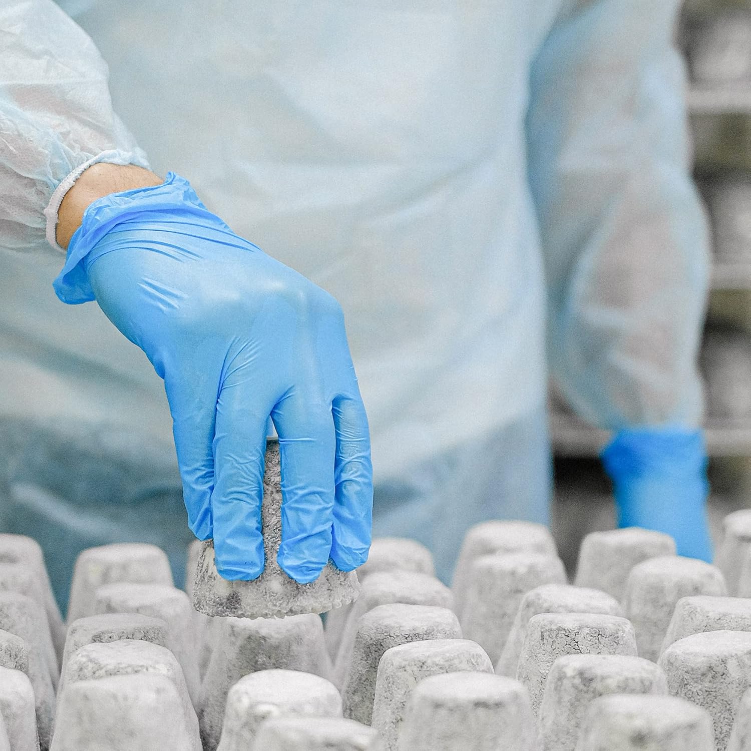  Latex Free Disposable Gloves for Medical
